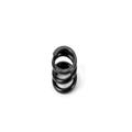 MOLLA FRIZIONE MEDIA NT1 XRAY 338581